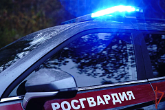 Свыше 3 тысяч выездов по сигналам «Тревога» совершили сотрудники вневедомственной охраны столичного главка Росгвардии на прошедшей неделе