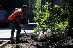 Работы по благоустройству начали в образовательных учреждениях района Арбат