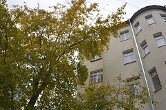 Ремонт здания XX века завершился в районе